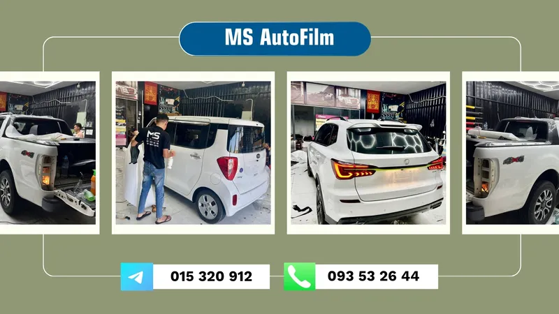 Ms Auto Film