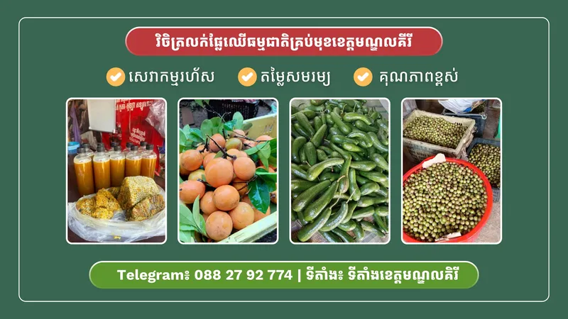 Vichet Shop